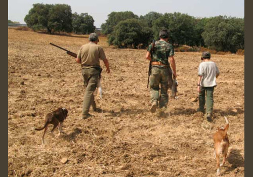 Chasse aux Lapins Espagne Valence