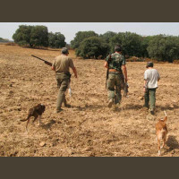 Chasse aux Lapins Espagne Valence