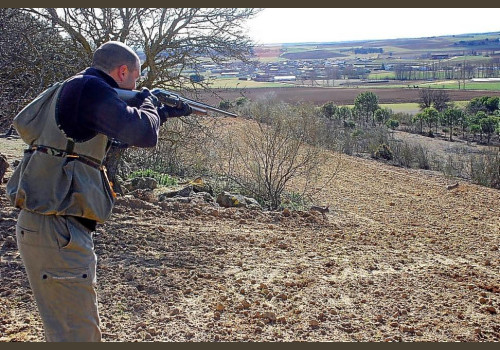 Chasse aux Lapins Espagne Valence