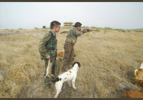 Chasse aux Lapins Espagne Valence