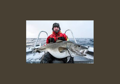 Pêche en Mer en Norvège