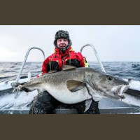 Pêche en Mer en Norvège