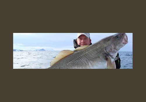 Pêche en Mer en Norvège