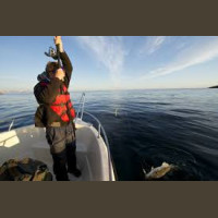 Pêche en Mer en Norvège