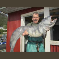 Pêche en Mer en Norvège