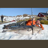 Pêche en Mer en Norvège