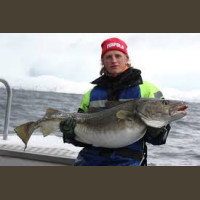 Pêche en Mer en Norvège