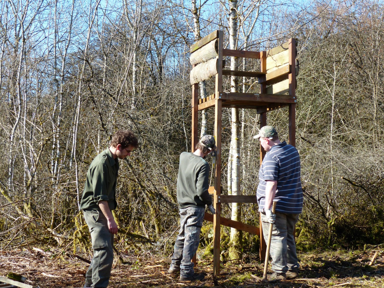 Journée de Chasse au Grand Gibier en Sologne en forêt Ouverte -  Organisation chasse peche