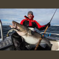 Pêche en Mer en Norvège