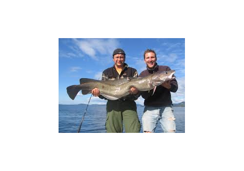 Pêche en Mer en Norvège