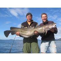 Pêche en Mer en Norvège