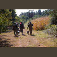 Chasse à la Journée Perdreaux en Sologne 2020-2021