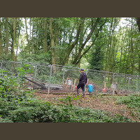 Chasse à la Journée Perdreaux en Sologne 2020-2021