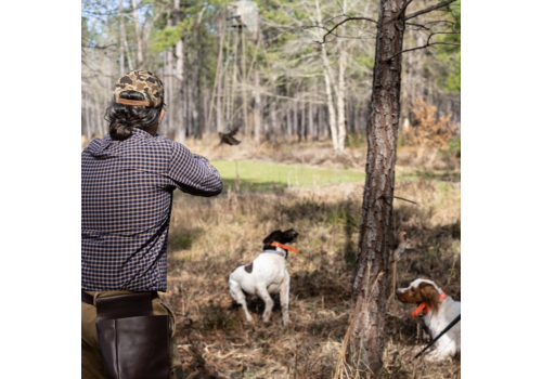 Chasse à la Journée Perdreaux en Sologne 2020-2021