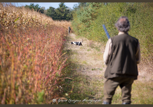 Chasse à la Journée Perdreaux en Sologne 2020-2021