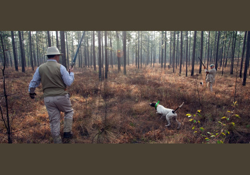 Chasse à la Journée Perdreaux en Sologne 2020-2021