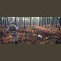 Chasse à la Journée Perdreaux en Sologne 2020-2021