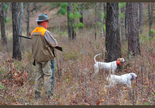 Chasse à la Journée Perdreaux en Sologne 2020-2021