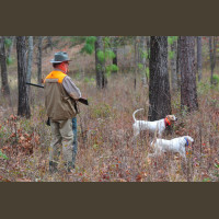 Chasse à la Journée Perdreaux en Sologne 2020-2021