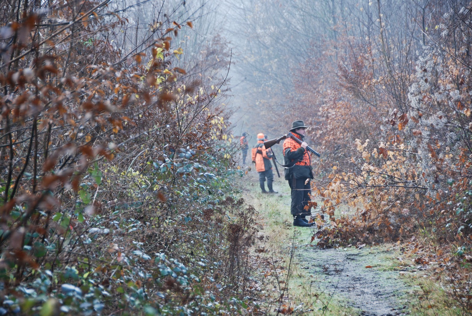 Journée de Chasse au Grand Gibier en Sologne en forêt Ouverte -  Organisation chasse peche