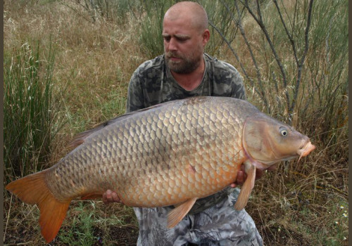 Pêche de la Carpe en Espagne