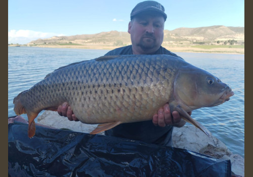 Pêche de la Czrpe en Espagne