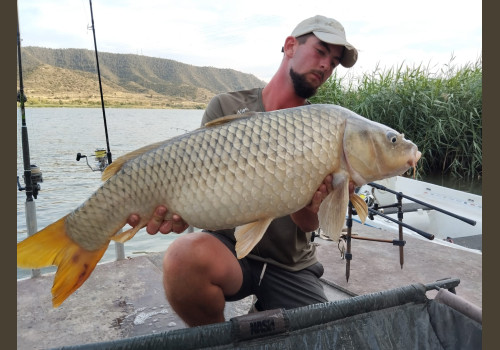 Pêche de la Carpe en Espagne