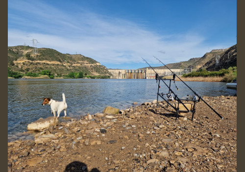 Pêche de la Czrpe en Espagne