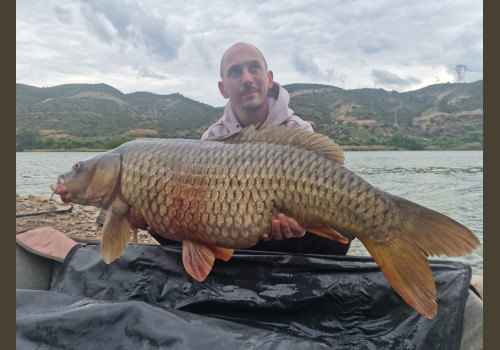 Pêche de la Carpe en Espagne