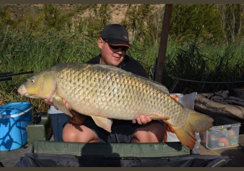 Pêche de la Czrpe en Espagne