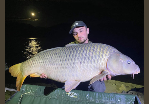 Pêche de la Czrpe en Espagne