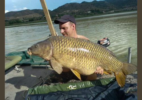 Pêche de la Carpe en Espagne