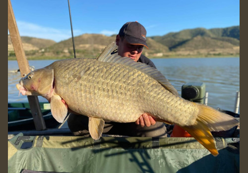 Pêche de la Czrpe en Espagne