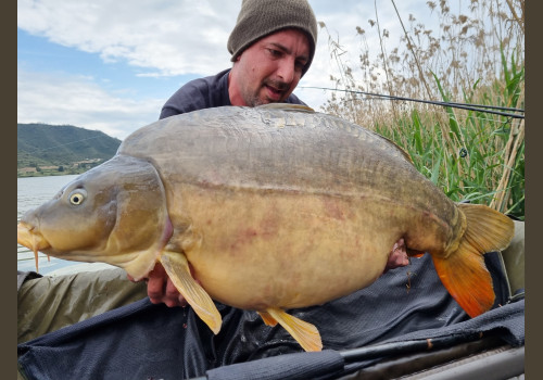 Pêche de la Czrpe en Espagne