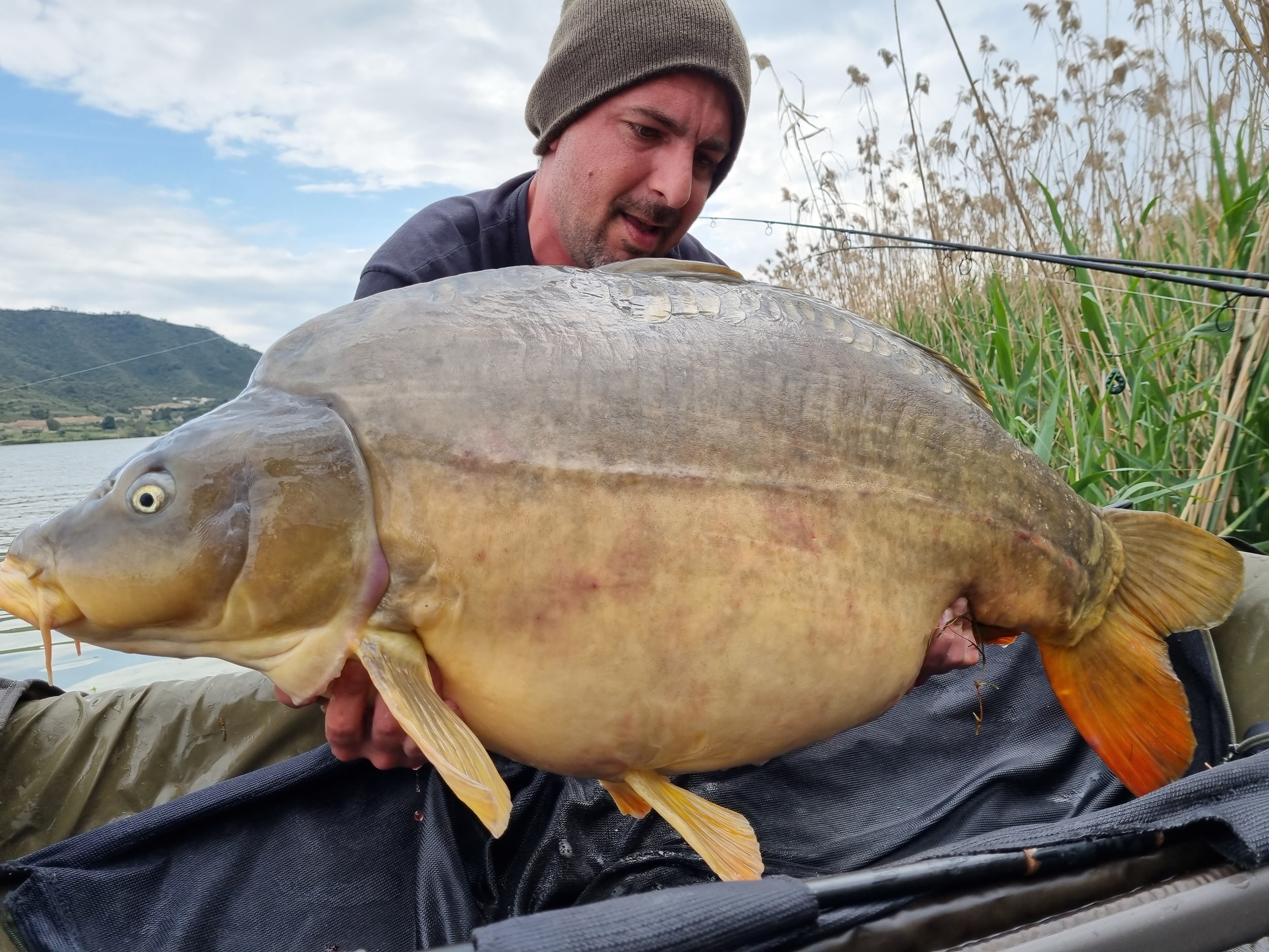 Pêche de la Carpe en Espagne