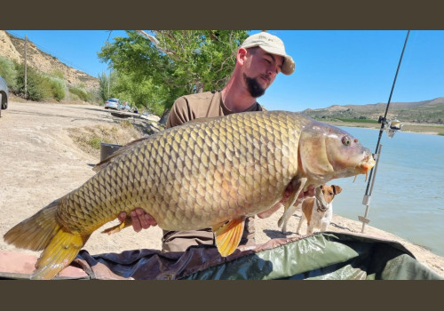 Pêche de la Czrpe en Espagne