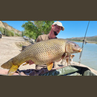 Pêche de la Carpe en Espagne