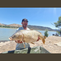 Pêche de la Carpe en Espagne