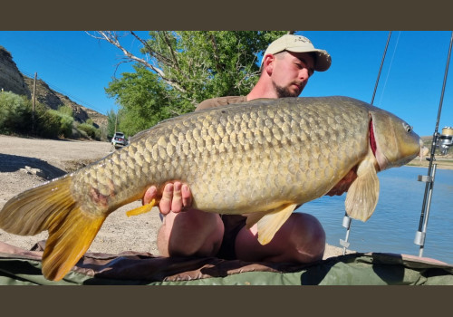 Pêche de la Carpe en Espagne