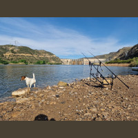 Pêche de la Carpe en Espagne