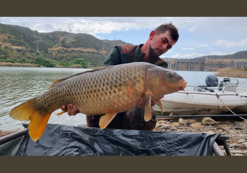 Pêche de la Czrpe en Espagne