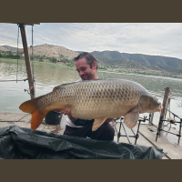 Pêche de la Czrpe en Espagne