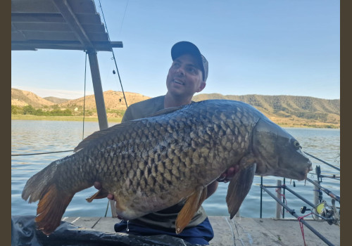 Pêche de la Carpe en Espagne