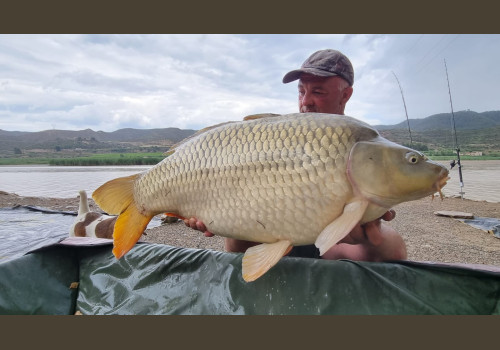 Pêche de la Carpe en Espagne