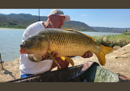 Pêche de la Czrpe en Espagne