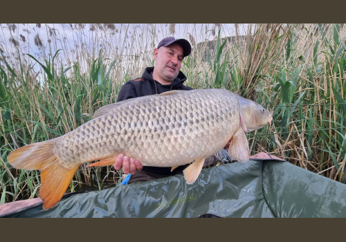 Pêche de la Czrpe en Espagne