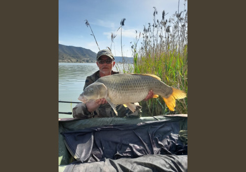 Pêche de la Carpe en Espagne