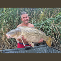 Pêche de la Carpe en Espagne