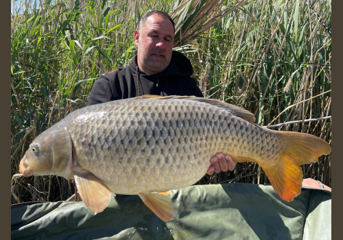 Pêche de la Czrpe en Espagne