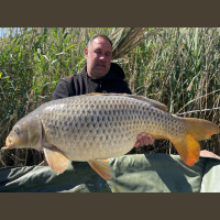 Pêche de la Carpe en Espagne